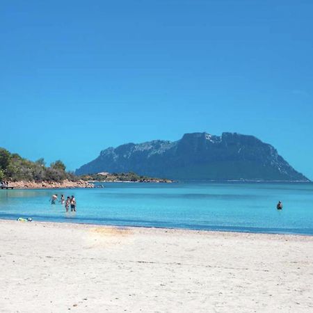 Appartamento Mare Sardegna Porto San Paolo 포르토산파울로 외부 사진