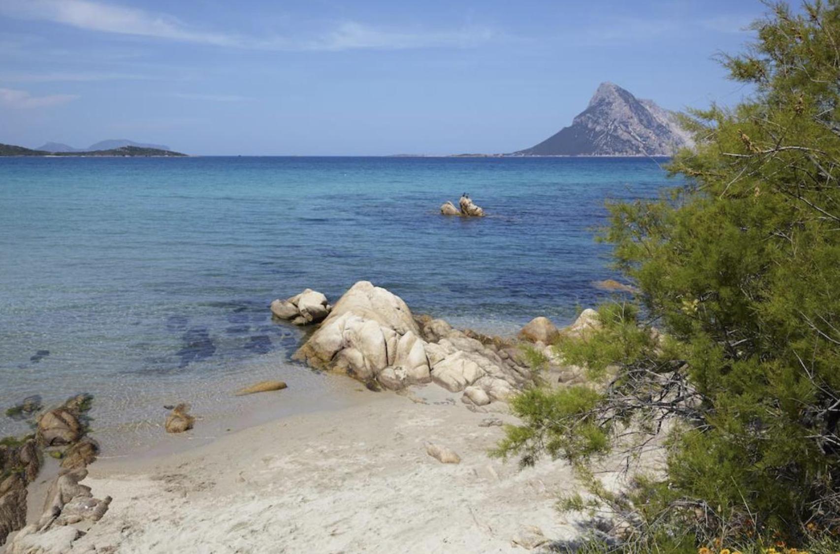 Appartamento Mare Sardegna Porto San Paolo 포르토산파울로 외부 사진